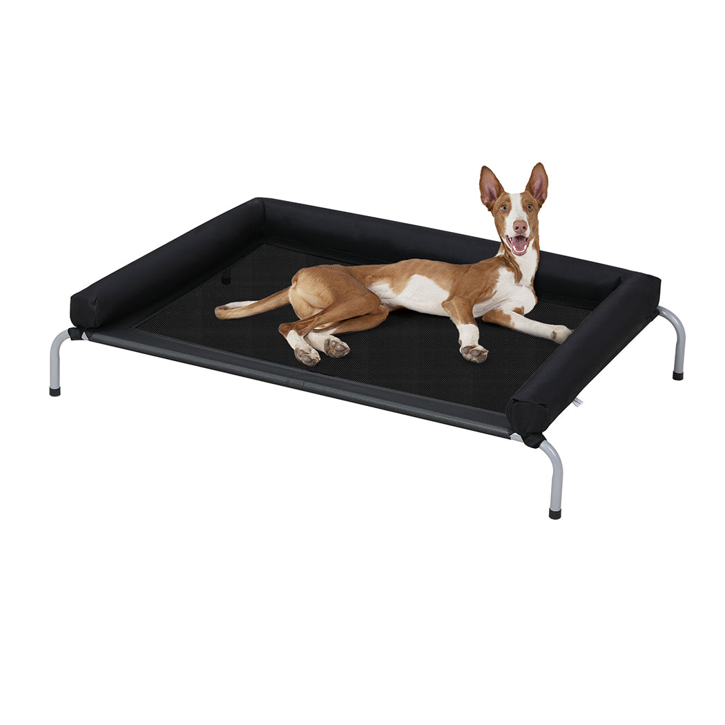 Tedi's Pet Elevated Dog Bed with Removable Bolsters