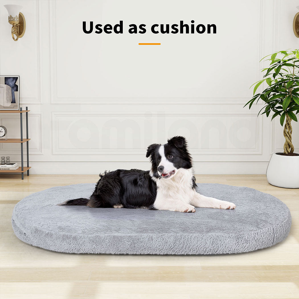 Tedi’s Inflated Human Size Dog Bed