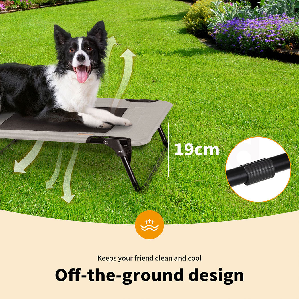 Tedi's Foldable Pet Elevated Dog Bed in Grey