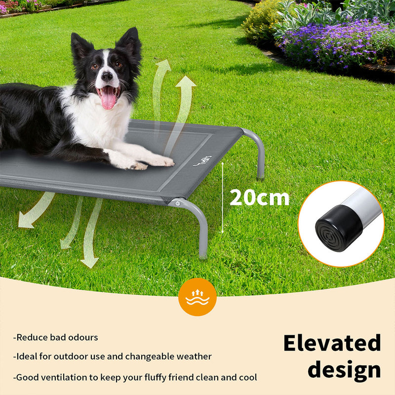 Tedi's Pet Elevated Dog Bed with Removable Bolsters