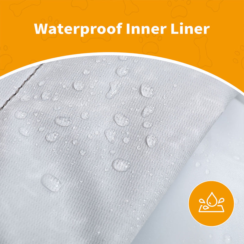 Tedi’s Inflated Human Size Dog Bed