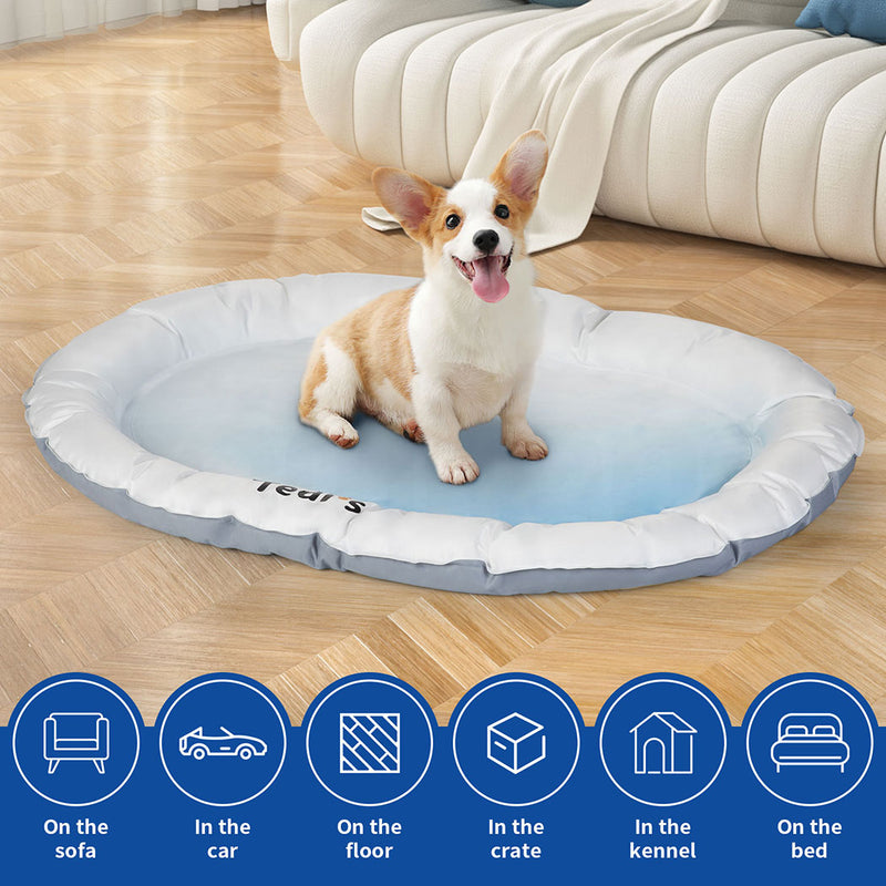 Tedi's Dog Cooling Mat for Dogs