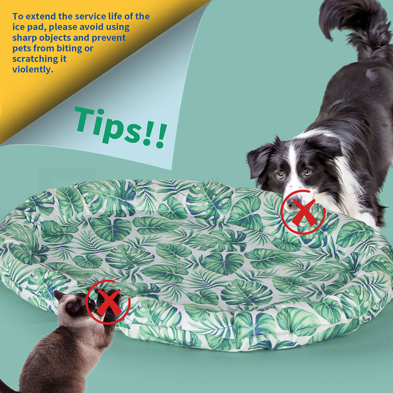 Tedi's Dog Cooling Mat for Dogs