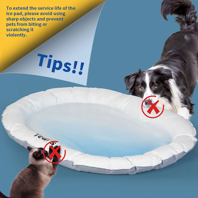 Tedi's Dog Cooling Mat for Dogs