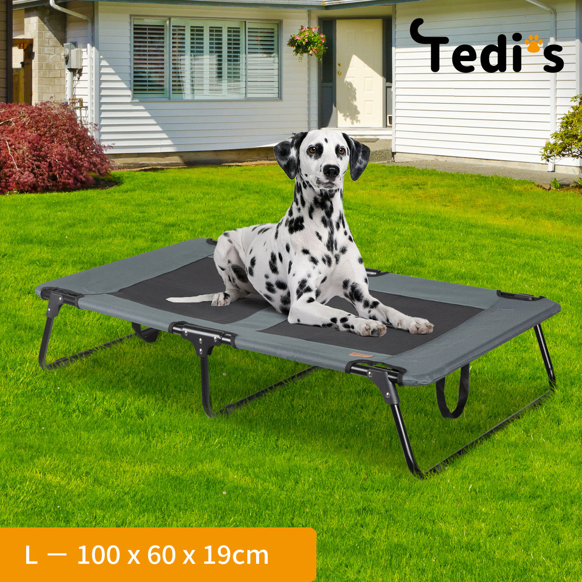 Tedi's Foldable Pet Elevated Dog Bed in Dark Grey