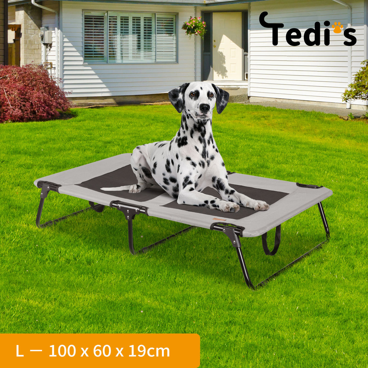 Tedi's Foldable Pet Elevated Dog Bed in Grey