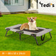 Tedi's Foldable Pet Elevated Dog Bed in Grey