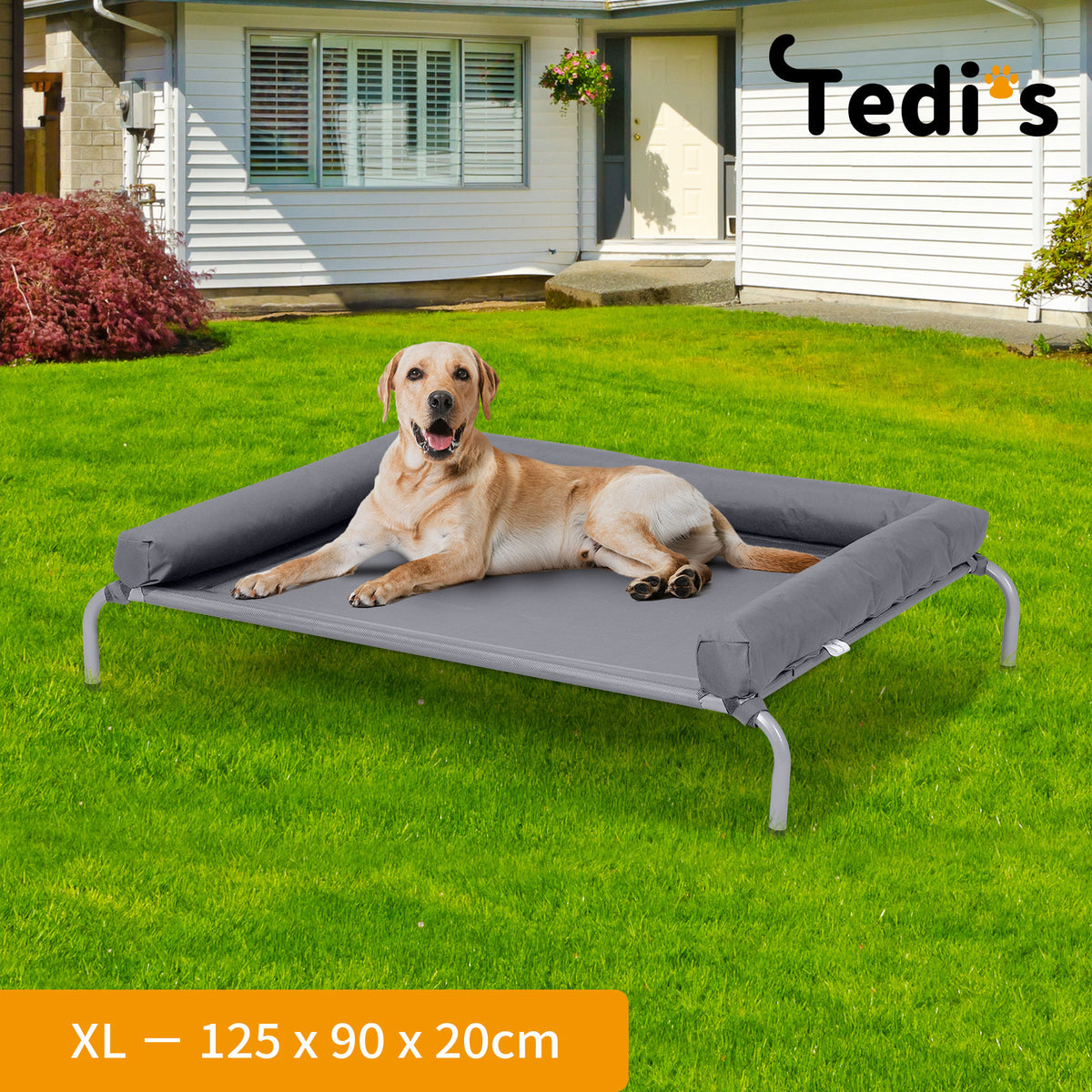 Tedi's Pet Elevated Dog Bed with Removable Bolsters