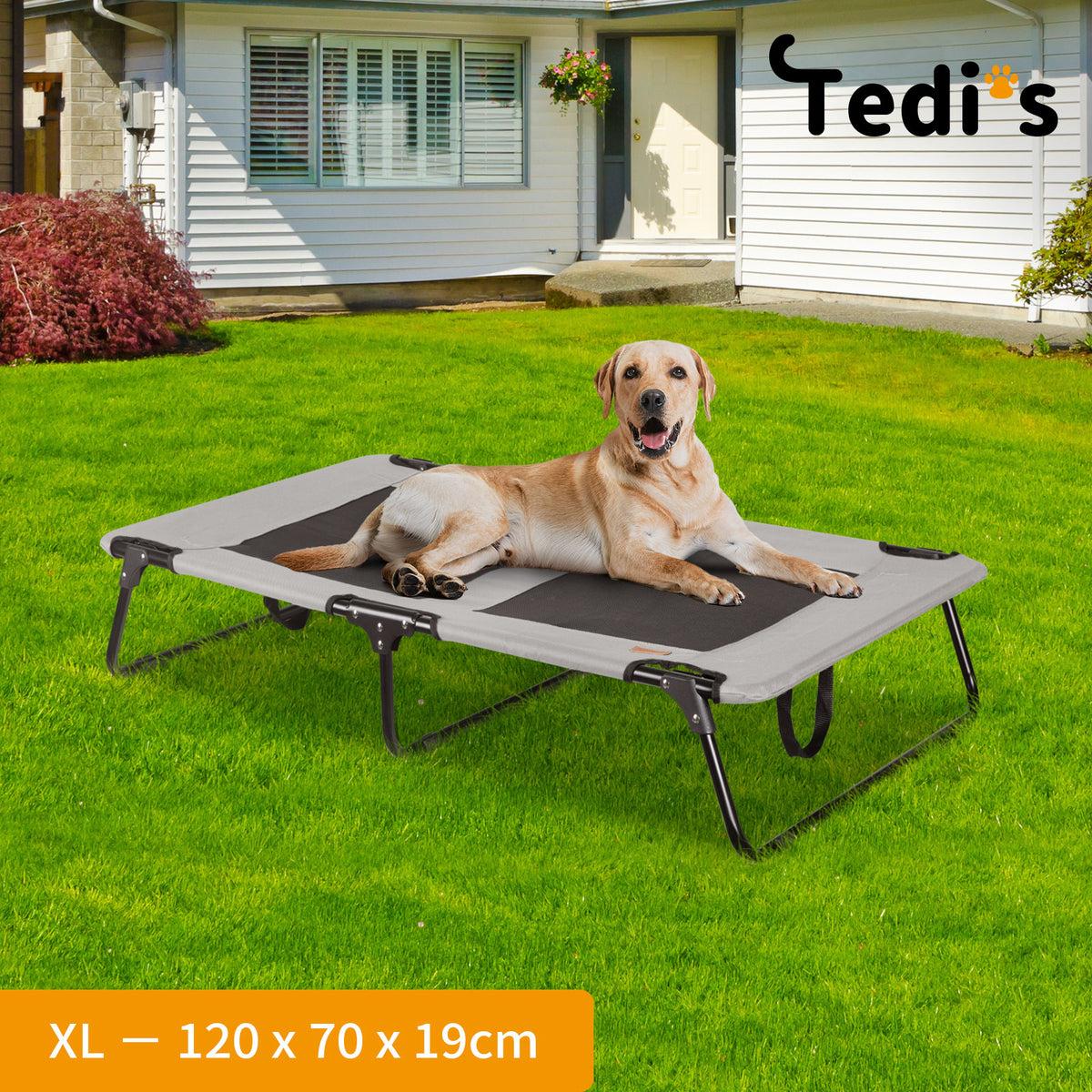Tedi's Foldable Pet Elevated Dog Bed in Grey